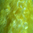 Premium Mohair Brights - Bright Yellow for Reborns and Doll Making