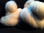 Greyface dartmoor Carded Wool  White undyed