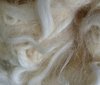 Devon & Cornwall Longwool Lamb Loose Fleece White undyed 50g