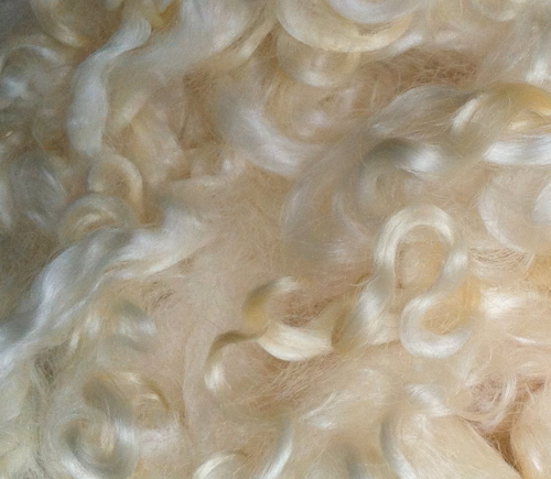 50g Teeswater Loose Fleece in white undyed