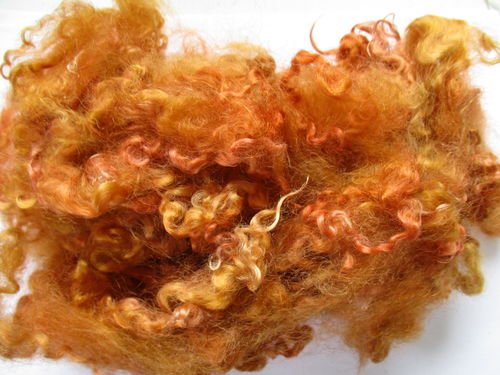 50g Teeswater Loose Fleece in Toffee Gold