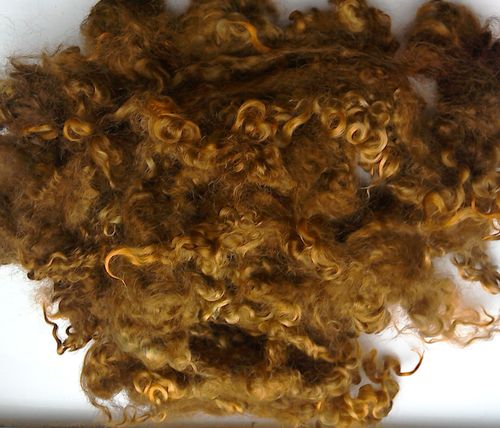 50g Teeswater Loose Fleece in Witches Moss