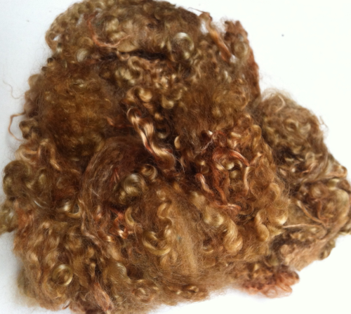 50g Teeswater Loose Fleece in Medium Brown