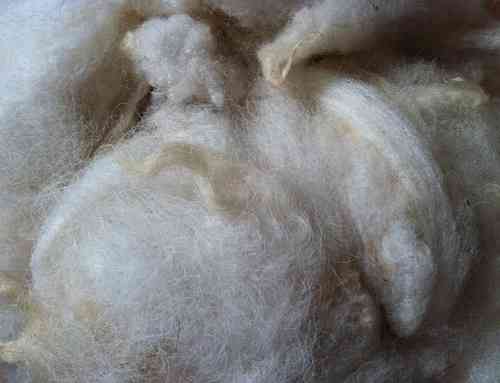 Undyed Kerry Hill Washed Fleece 200g