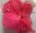 Dorset Down Carded Wool 50g Red