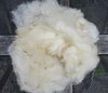 Exmoor Horn Raw (Unwashed) Fleece 200g