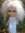 .Blythe Winter Princess - White Mohair with Plaits