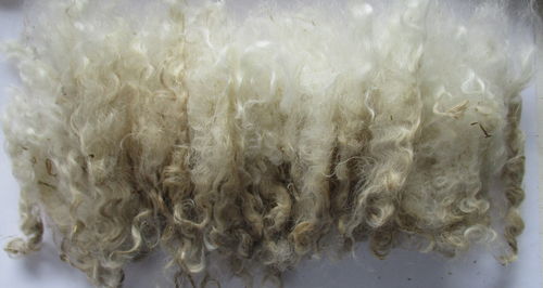 1oz Raw (Unwashed) Curly Mohair