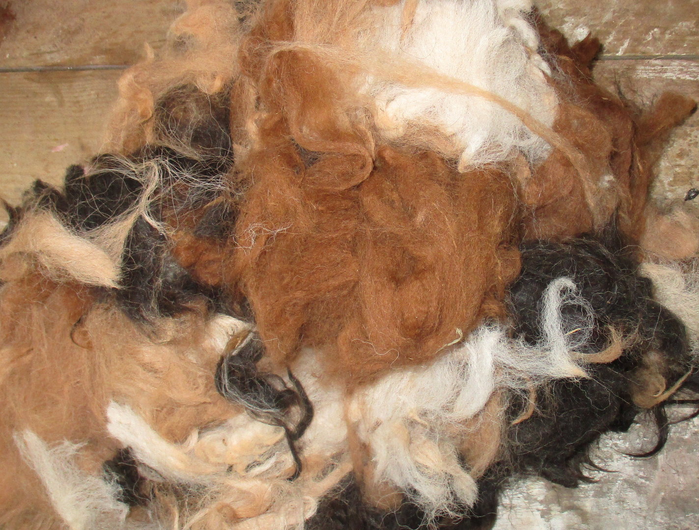 Alpaca Raw (Unwashed)  Fleece Mixed Colours 200g