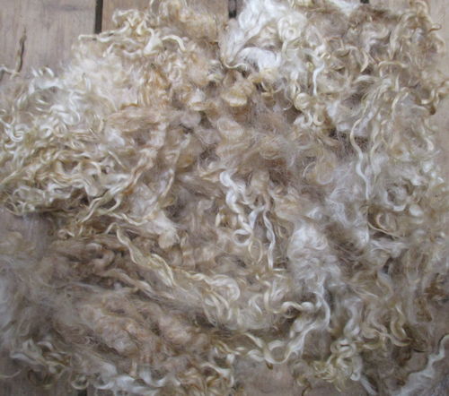 Teeswater Loose Raw (unwashed) Fleece 200g