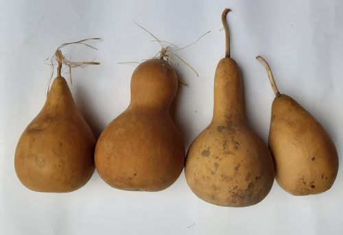Dried and Washed Small Sized Gourds - Set of Four