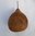 Dried and washed X Large Bushel Gourd