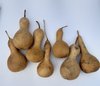 Dried and washed Mini gourds Medium set of 7