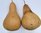 Dried and Washed large Pear Gourds - Set of two