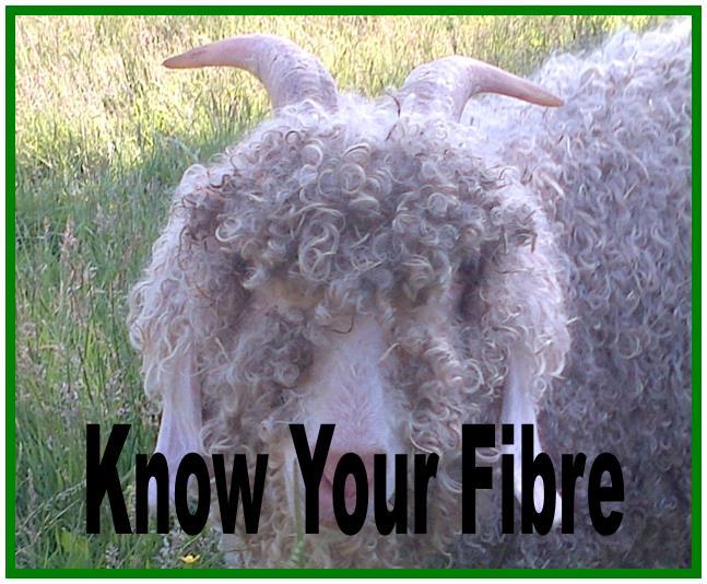 know_your_fibre