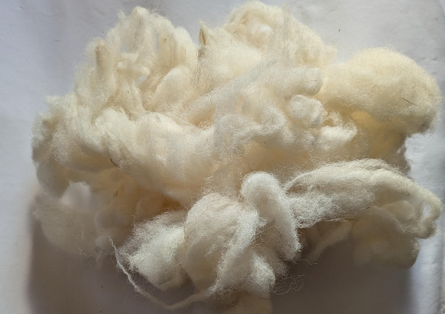 Texal Fleece