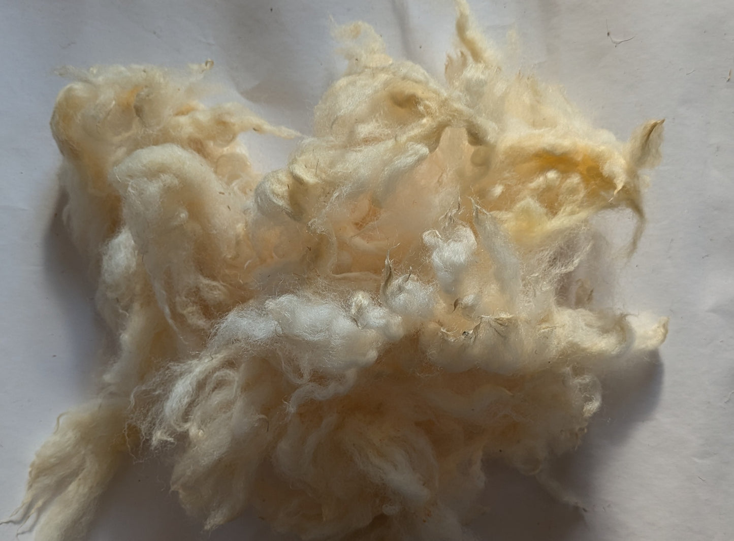 Suffolk Fleece