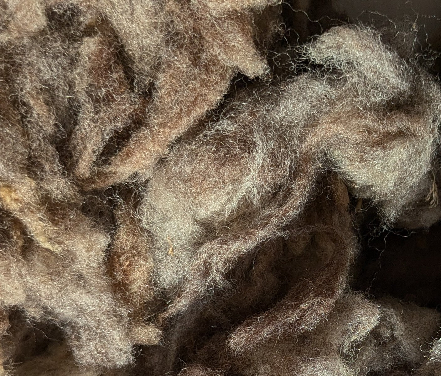 Black Ryeland Fleece