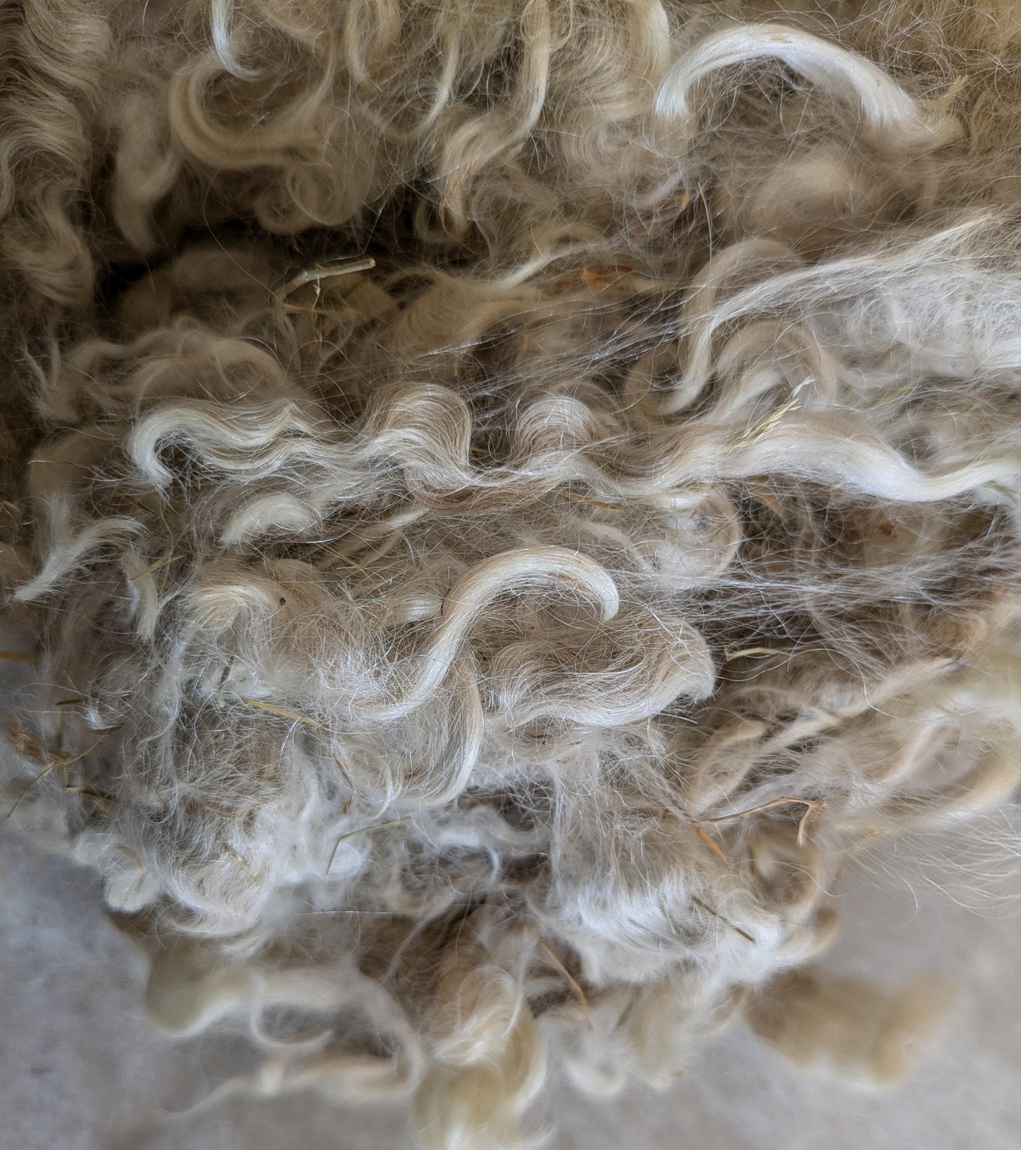 Raw (Unwashed) Mohair Fibre