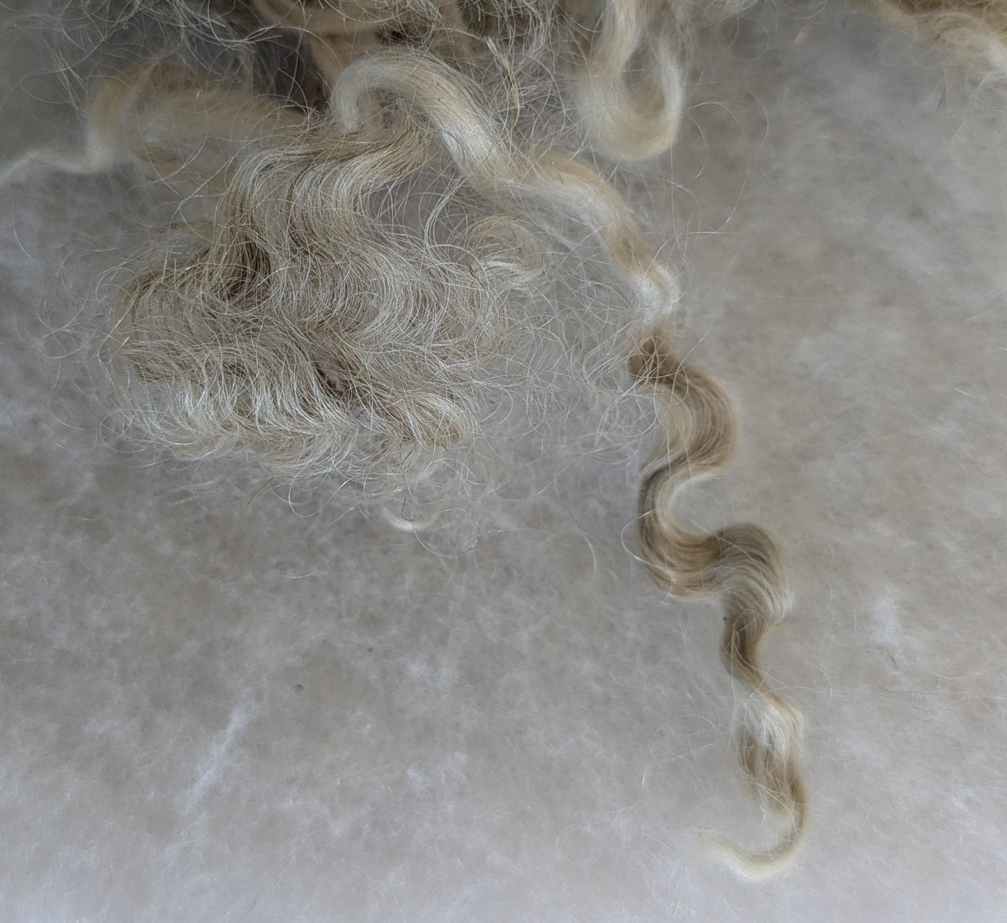 Raw (Unwashed) Mohair Fibre