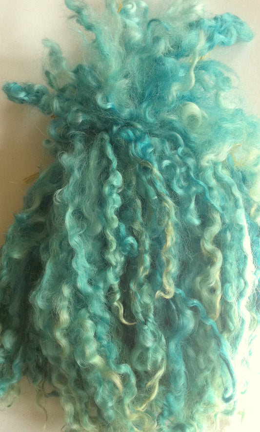 Teeswater Locks in Light Teal