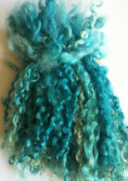 Teeswater Locks in Teal