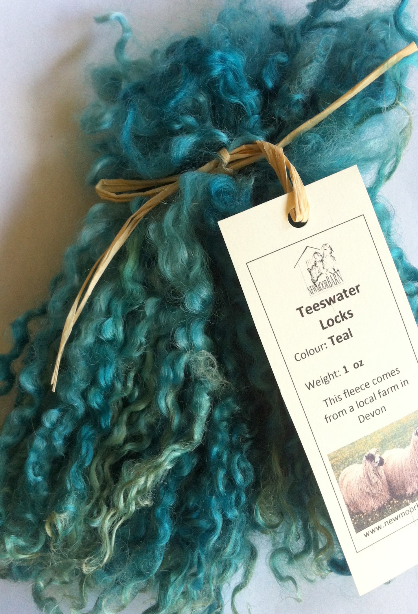Teeswater Locks in Teal