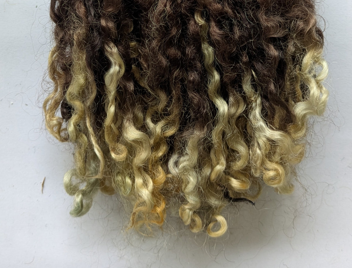 Teeswater Locks in Brown with Blonde Tips