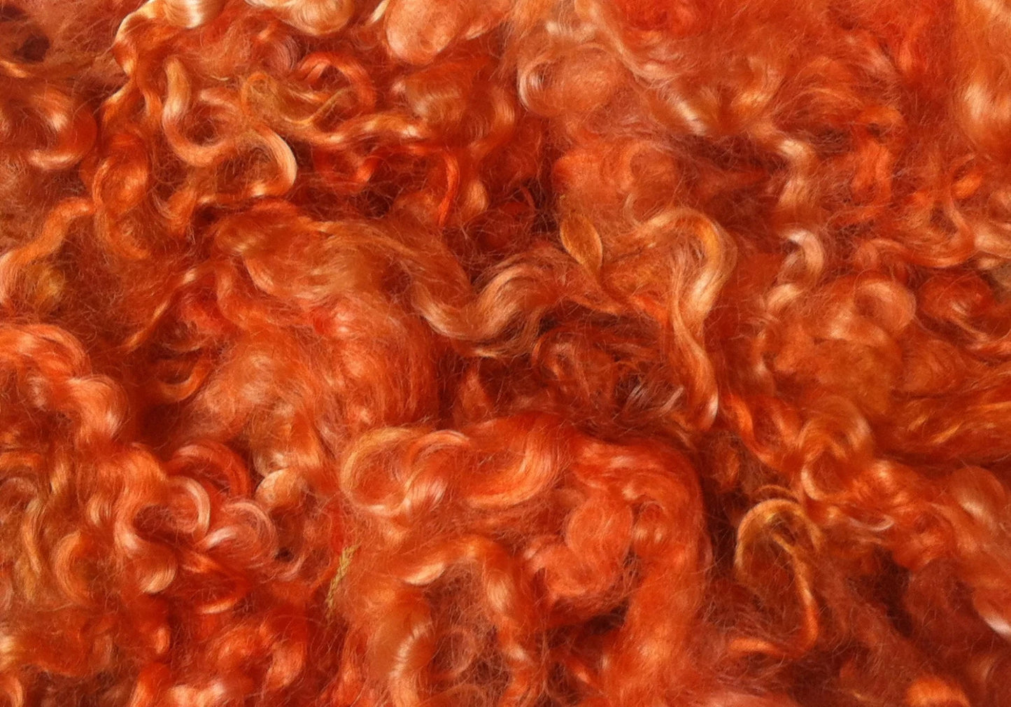 Teeswater Loose Fibre in Burnt Orange