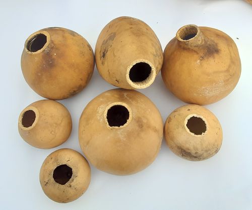 Dried and De seeded  Gourd Variety Pack