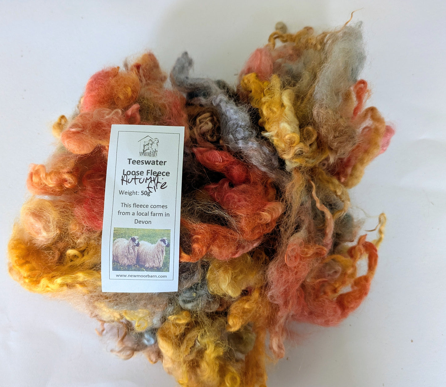 Teeswater Loose Fibre in Autumn Fire