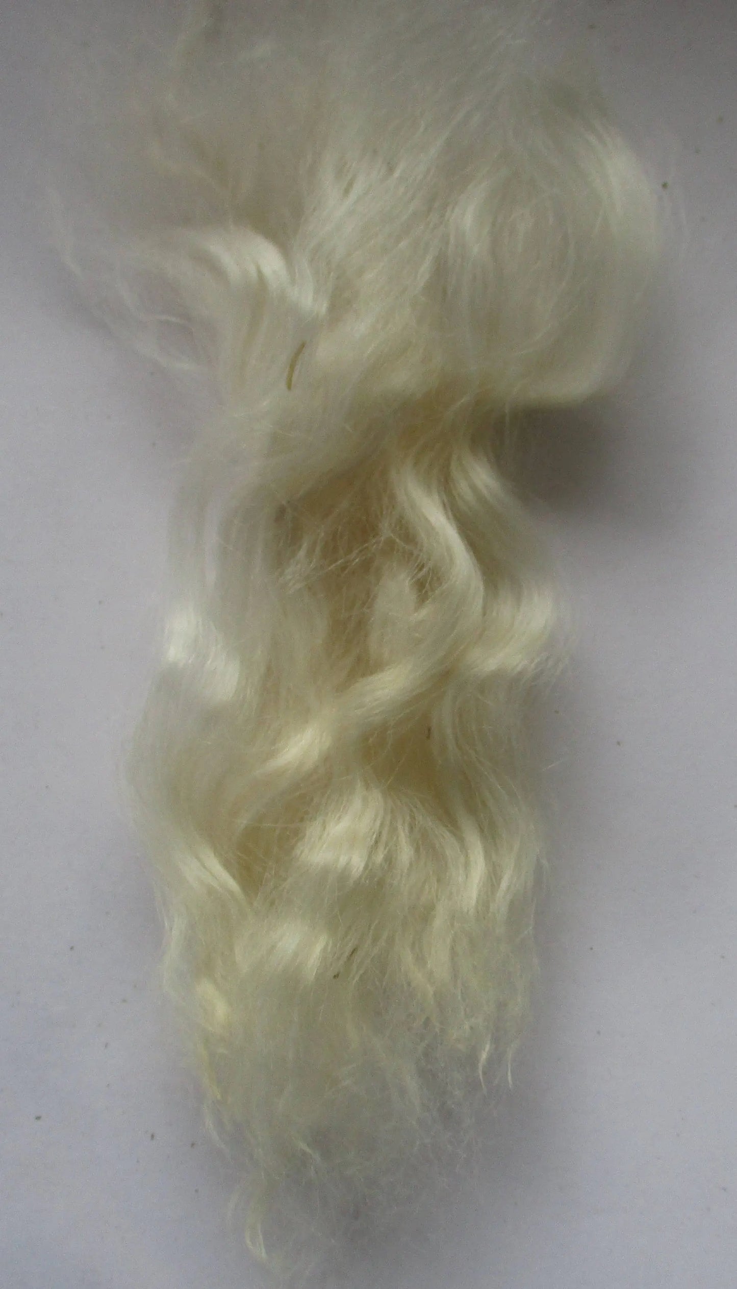 Loose Suri Alpaca in Ivory