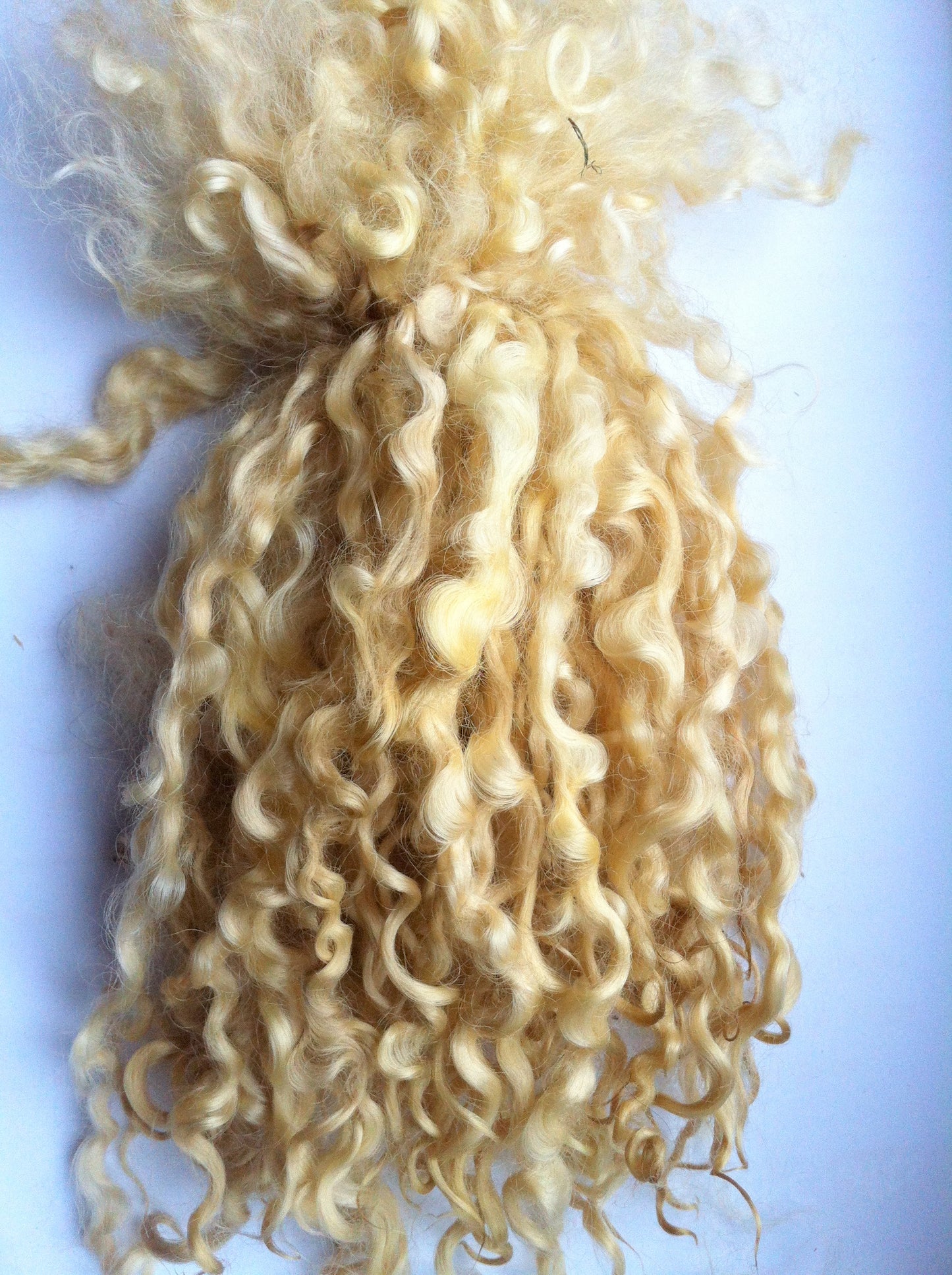 Teeswater Locks in Light Blonde