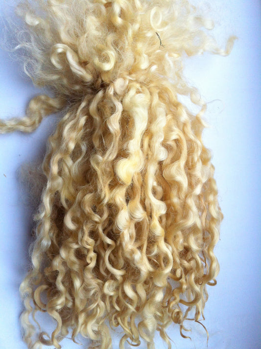 Teeswater Locks in Light Blonde