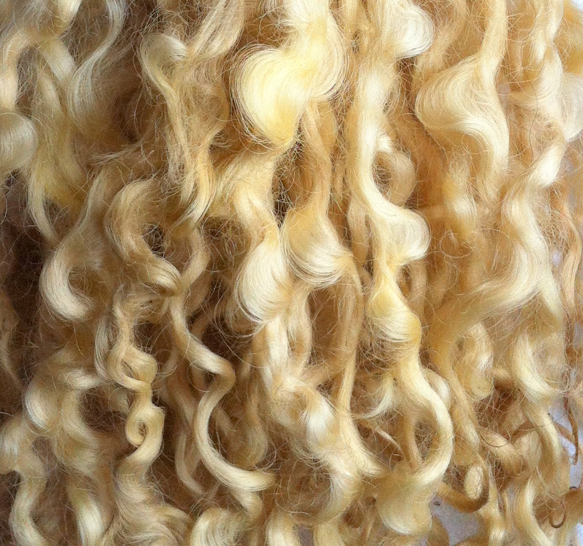 Teeswater Locks in Light Blonde