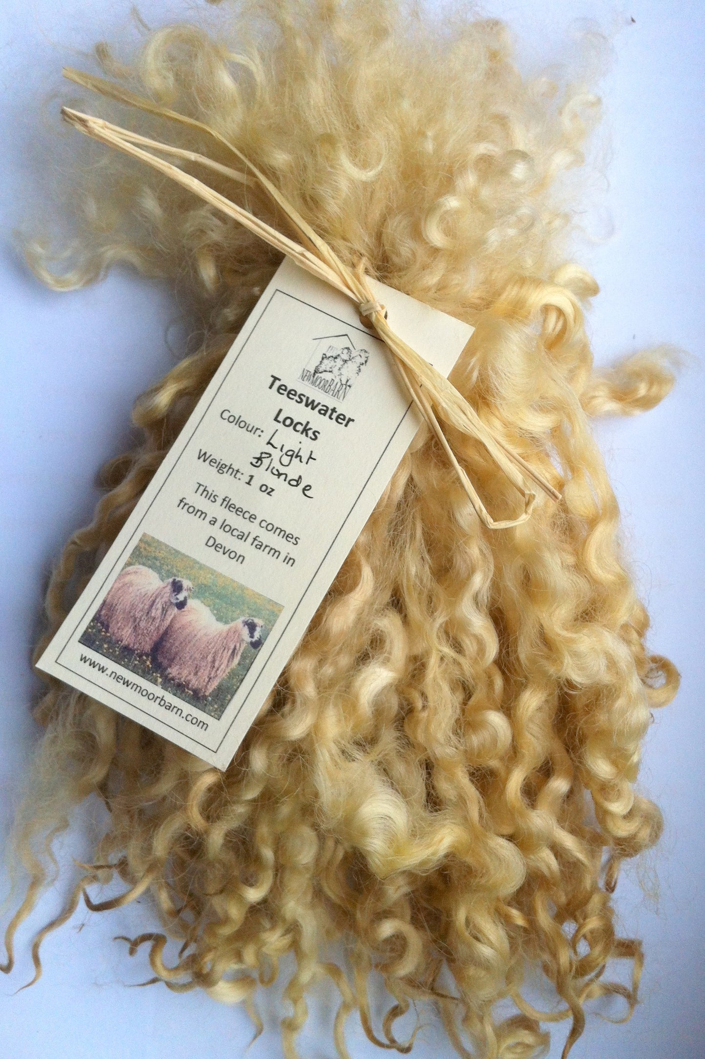 Teeswater Locks in Light Blonde