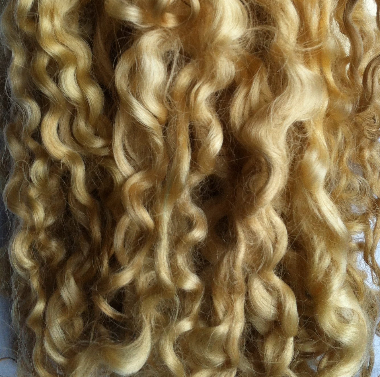 Teeswater Locks in Medium Blonde
