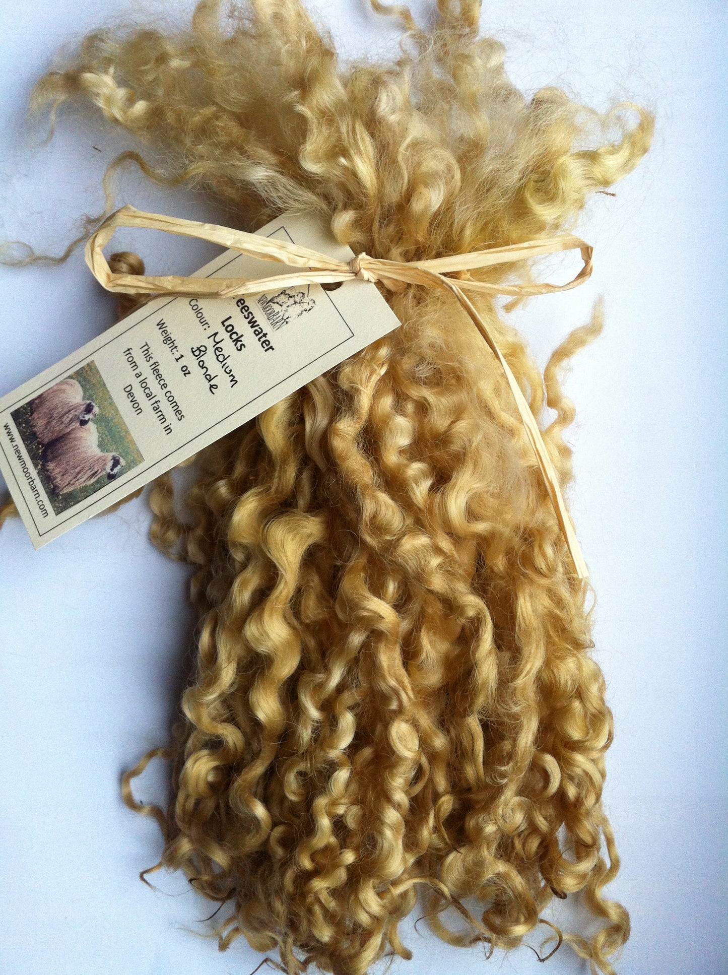 Teeswater Locks in Medium Blonde