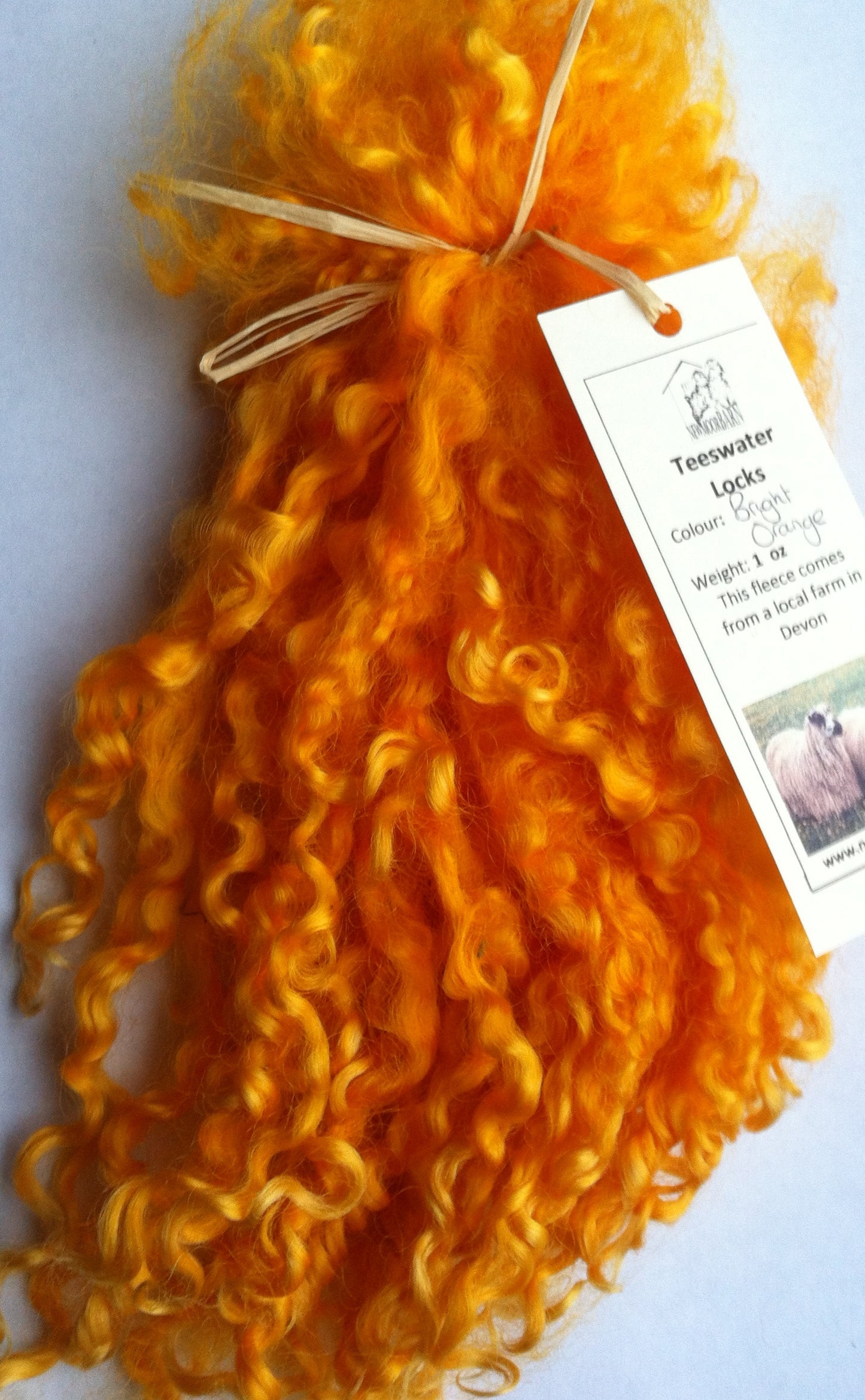 Teeswater Locks in Bright Orange