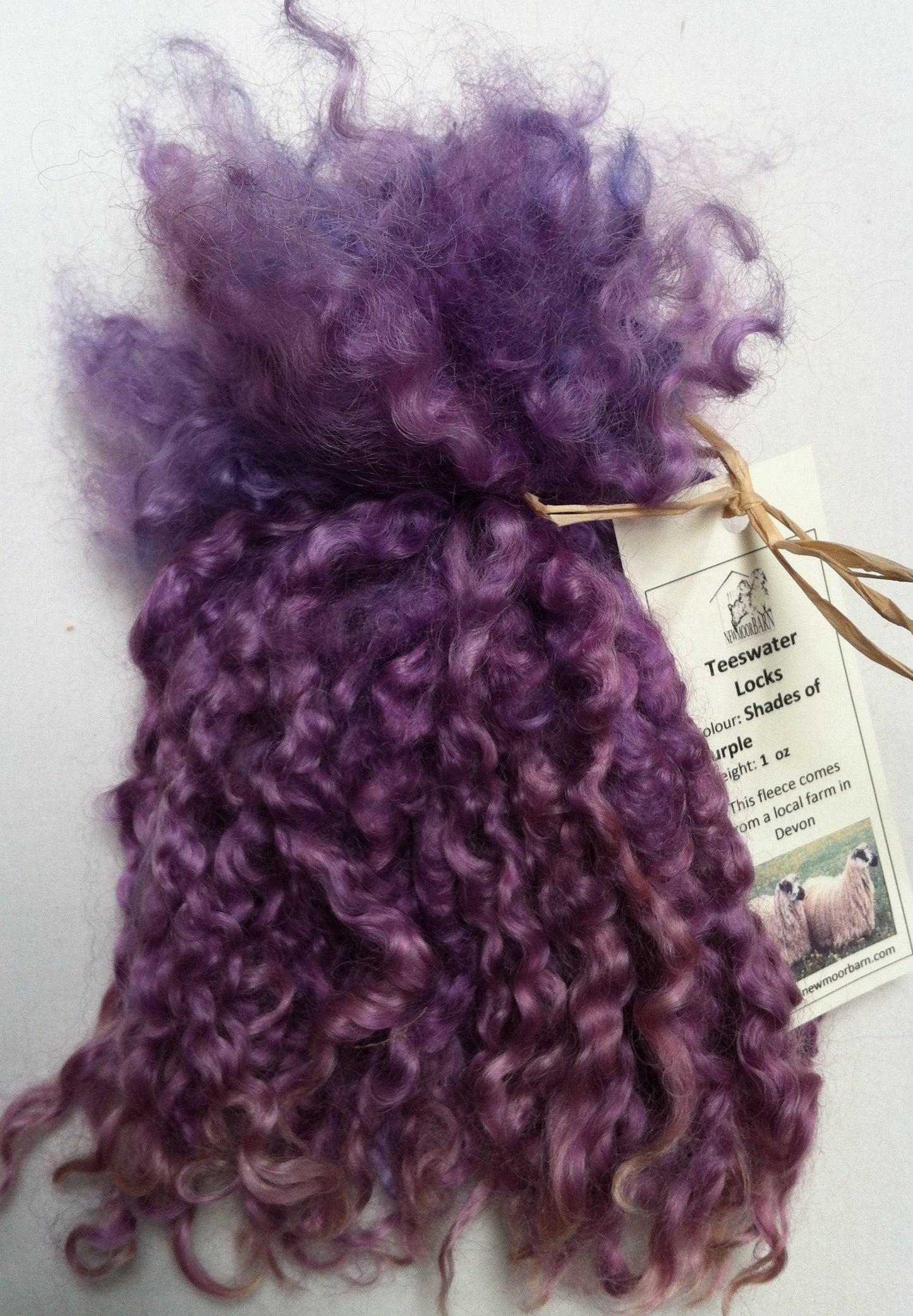 Teeswater Locks in Purple Shades