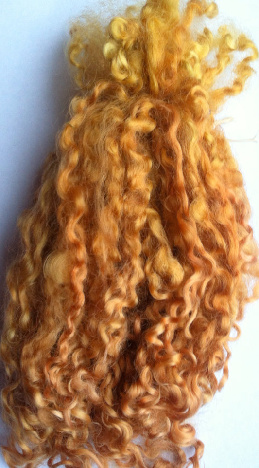 Teeswater Locks in Toffee Gold