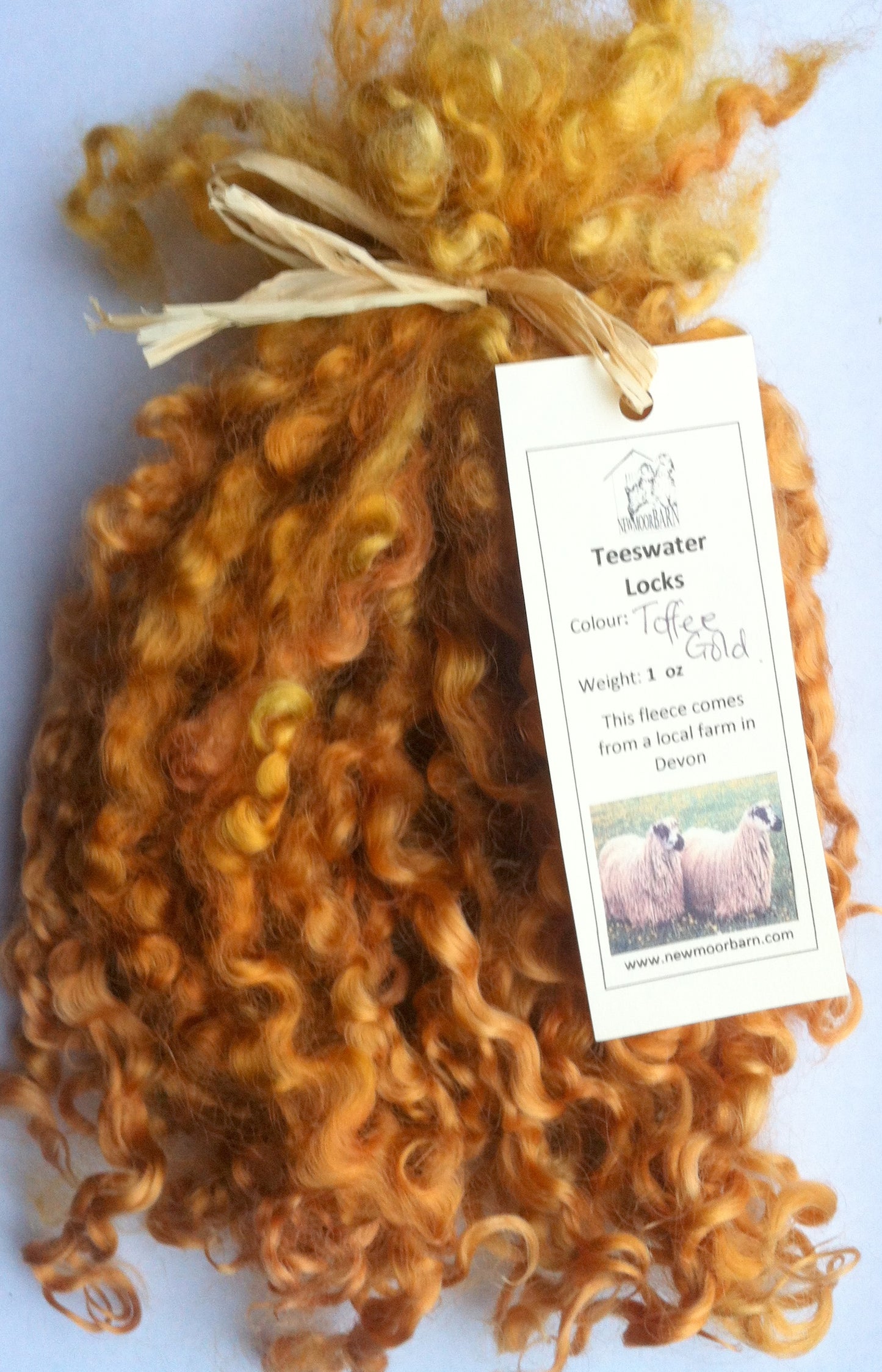 Teeswater Locks in Toffee Gold