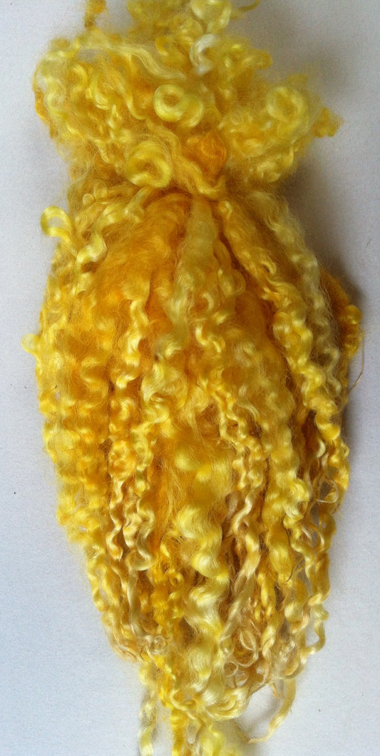 Teeswater Locks in Yellow