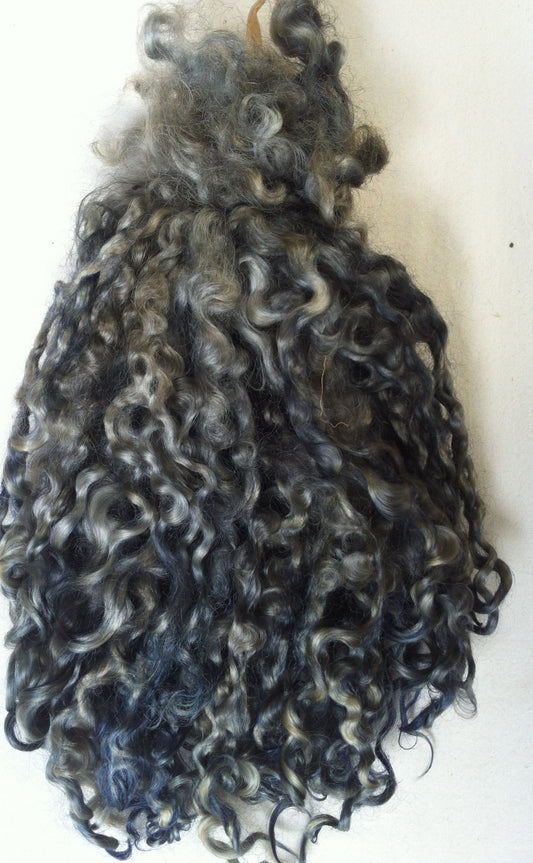 Teeswater Locks in Smokey Grey