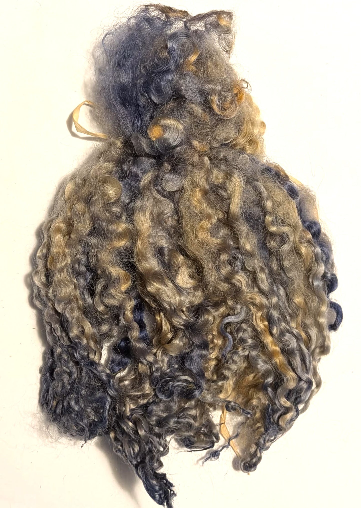 Teeswater Locks in Tortoise Shell