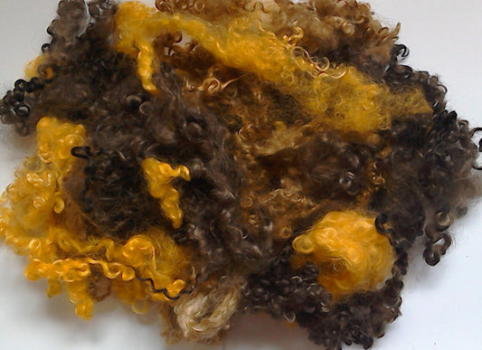 Teeswater Loose Fibre in Chocolate Orange