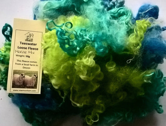 Teeswater Loose Fibre in Marine Mix