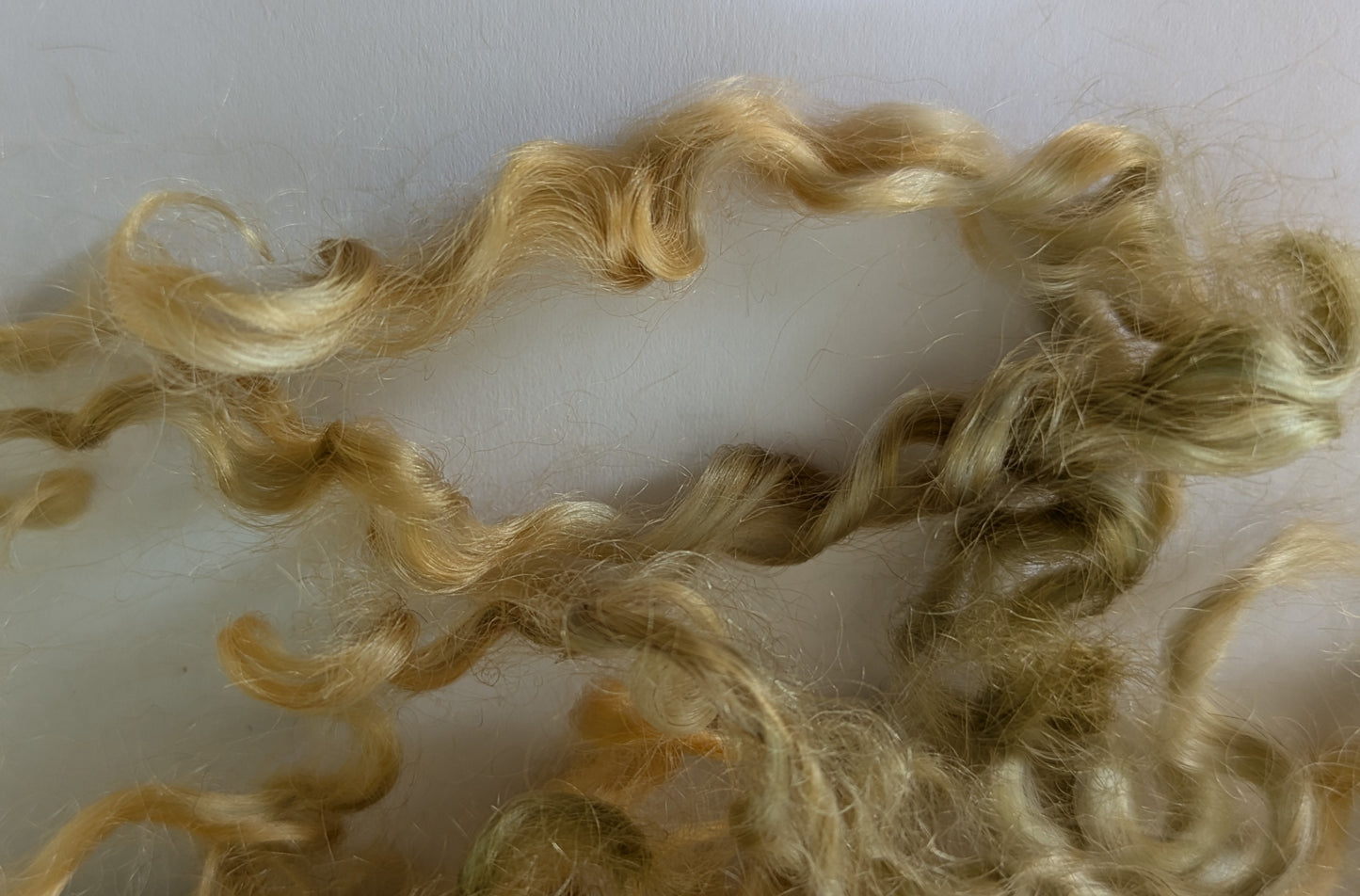 Undyed Teeswater Lamb washed Loose Fibre in medium blonde