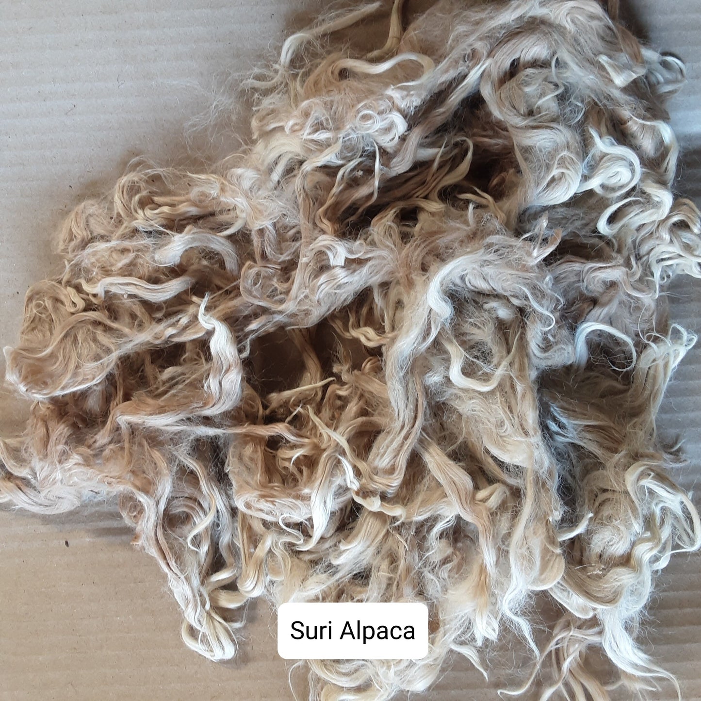 Raw (Unwashed) Long wool Fleece Selection Box 6 X 100g
