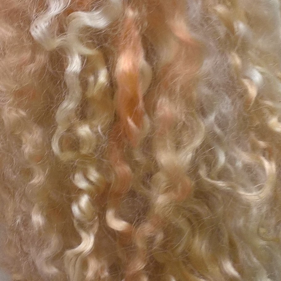 Teeswater Locks in Mixed Blondes